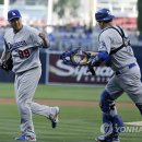 대성펫코 이미지