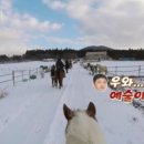 웅지 이미지