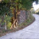 대문안 농장 이미지