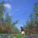 각골농장 이미지