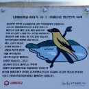 신전앵간다숲 차박(남해)