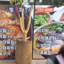 제주사랑상조