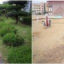 삼학초등학교 이미지