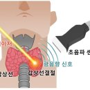 가톨릭대학교 글로벌융합대학원 이미지