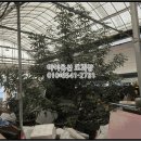 여수대로 이미지