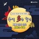 스피드메이트 이미지