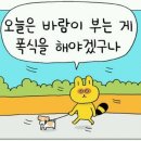 파인 가로수길점