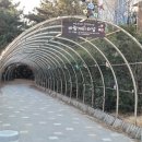 송도동 솔향 네이버블로그