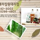 유니베라잠원