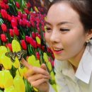 HD갤러리 이미지