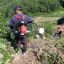 안정농장 이미지