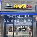 슈슈댕 이미지