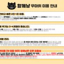 함께냥 본점 | 수원 오산 동탄 고양이미용 함께냥 솔직 후기 +무마취