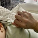 모유단유후기 맘스홀릭 카페에서 2500 조회수를 올린 나의 단유 이야기