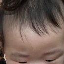 짜글이 대가 이미지