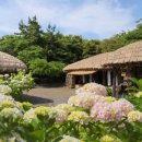 제주민속촌 이미지