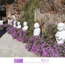 경은사 - 1204 | 충북 제천 가을여행 가볼만한곳 경은사