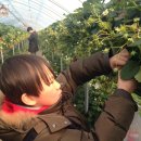 성결농장 이미지