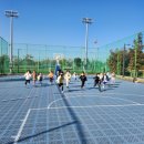 숲생태유치원 이미지