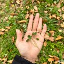 일미농원 이미지