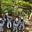 리틀올리브어린이집 이미지