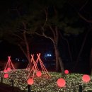 서울선사초등학교 | 2025 강동선사문화축제 미리보기 가을밤 감성 폭발 야경 명소로 변신 미리 다녀온 후기