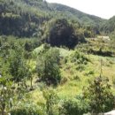 자산동127 이미지