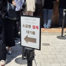 소금 티스토리