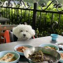 일헌농원 이미지