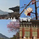 경복궁 | 서울 봄꽃 명소 경복궁 봄나들이 추천 후기