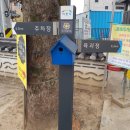 이천백사산수유영농조합 이미지