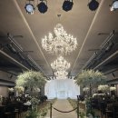 궁 웨딩컨벤션 이미지