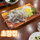 정수횟집 | 안산 선부동 횟집 가성비 오징어회 초장집 내돈내산 후기