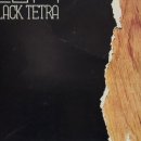 젊은열대어 이미지