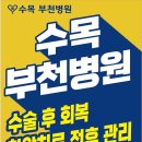 암환자와 보호자를 위한 설명글 덱사메타손 vs 프레드니솔론 — 어떤 차이가 있을까? 이미지