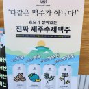 분식돼지 이미지