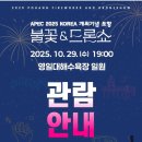 송도해수욕장 입구 삼거리 | 포항APEC불꽃축제, 드론쇼 자세한 위치 및 송도낙화놀이 소개