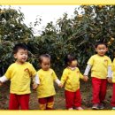 효동농장 이미지