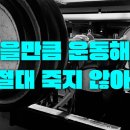 크라운짐 이미지