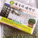 새싹향기농장
