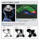 뉴런바이오