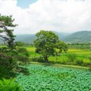 용전농촌체험휴양마을 | 경북여행지추천 군위 리틀포레스트 화본역 급수탑 농촌여행지