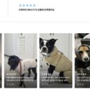 멀로 이미지