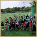 기품있는 태권도장 | 신호동태권도 기품태권도, 아이들의 전문적인 체육 교육 그리고 인성교육