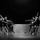 제31회 충북무용제 이미지