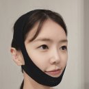 슈입