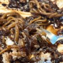사천 오늘은짬뽕땡기는날 | 사천 사남면맛집, 삼천포 짬뽕맛집, 사천맛집, 사천 중국집, 탕수육맛집...