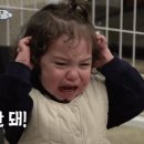 봄돈카츠 이미지
