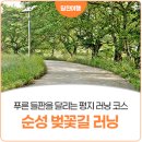 성북2리마을회관 | 푸른 신록의 풍경을 보며 달리는 평지 코스, 당진천 순성 벚꽃길 러닝