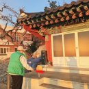 석류애견 네이버블로그